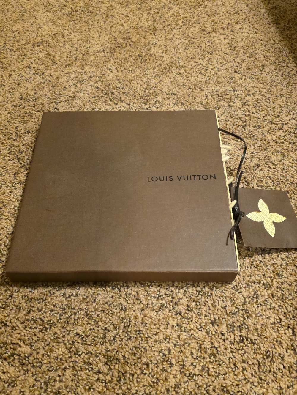Louis Vuitton Cashmere Scarf / EUC - Picture 4 of 4